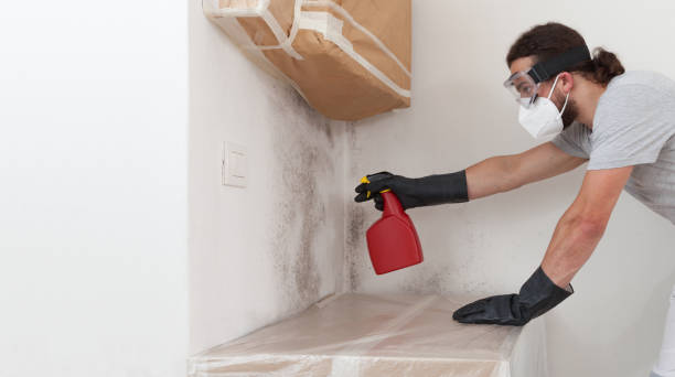 Professional Bathroom Mold Removal technician working in Clifton, NJ