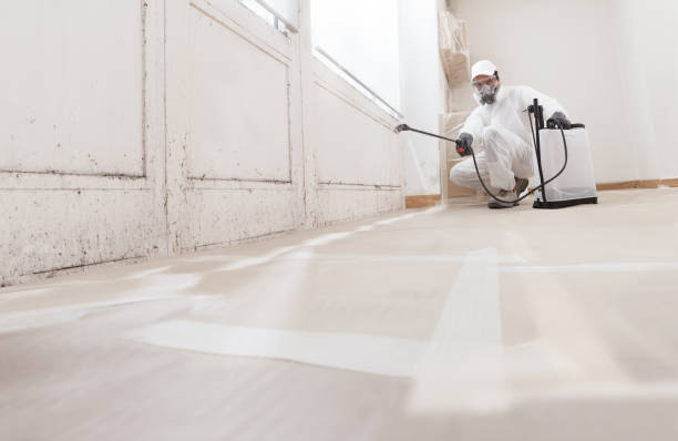 24/7 Emergency Bathroom Mold Removal experts in Clifton, NJ